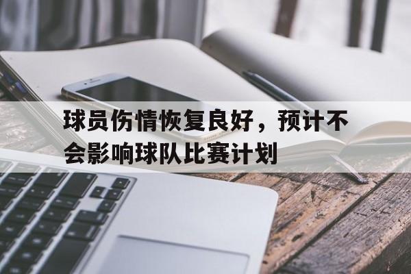 球员伤情恢复良好，预计不会影响球队比赛计划